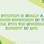 Trust Your Gut Quotes 9