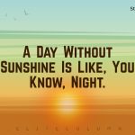 Sunshine Quotes 2