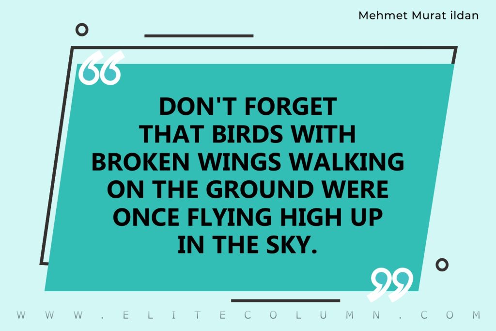 Sky is the Limit Quotes (5)