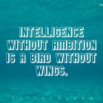 Wings Quotes 1