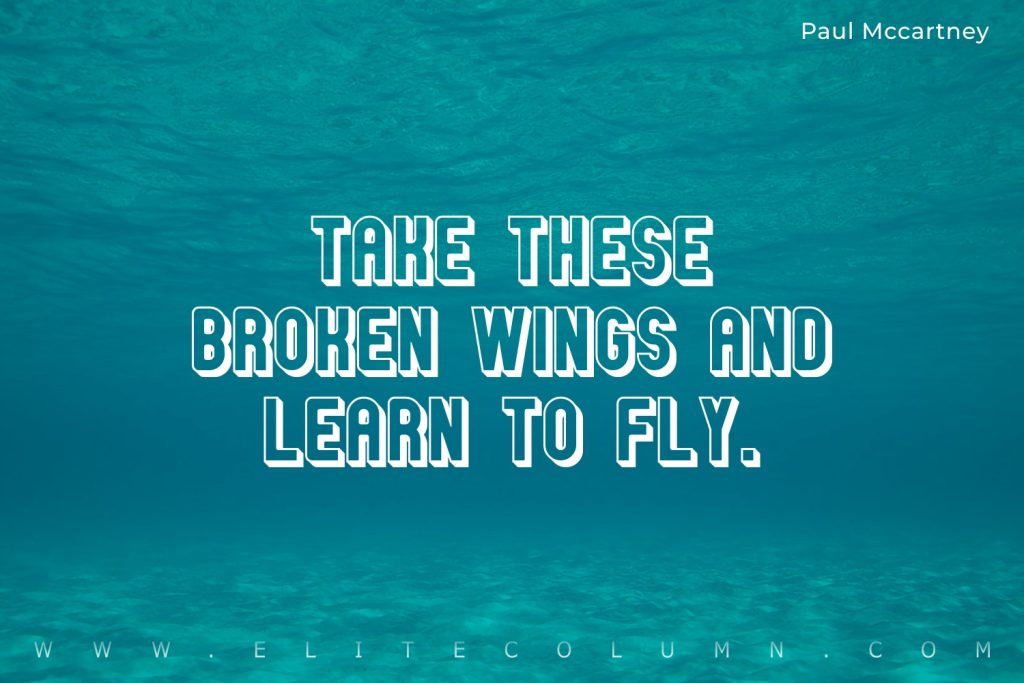 Wings Quotes (10)