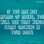 Wings Quotes 3