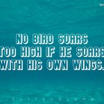 Wings Quotes 4