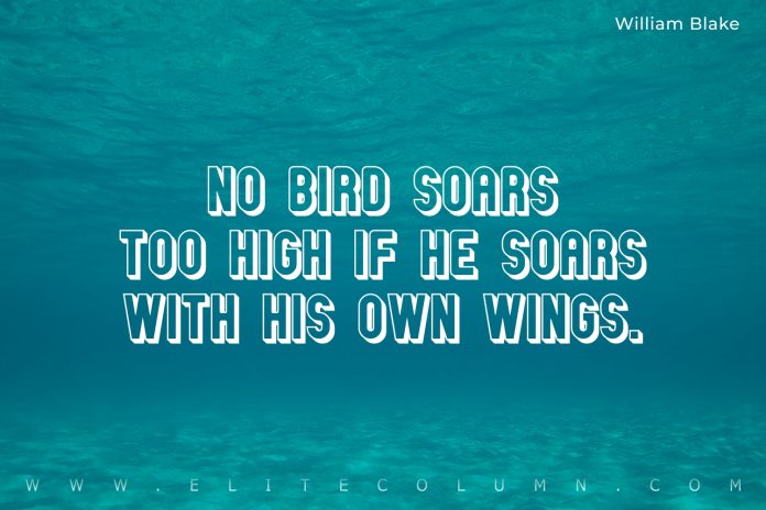 Wings Quotes (4)