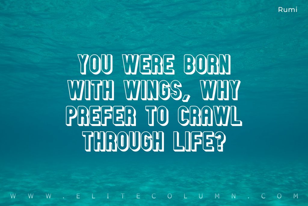 Wings Quotes (6)