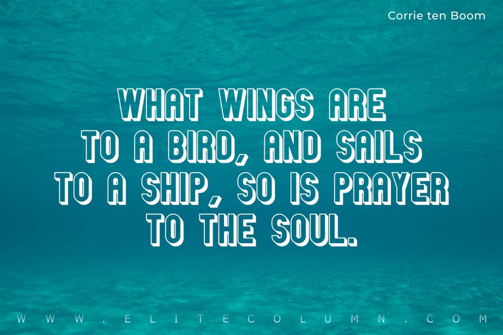 Wings Quotes (7)
