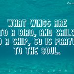 Wings Quotes 7
