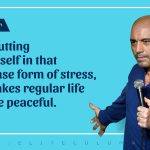Joe Rogan Quotes 10