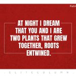 Pablo Neruda Quotes 5