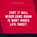 Emily Dickinson Quotes 2