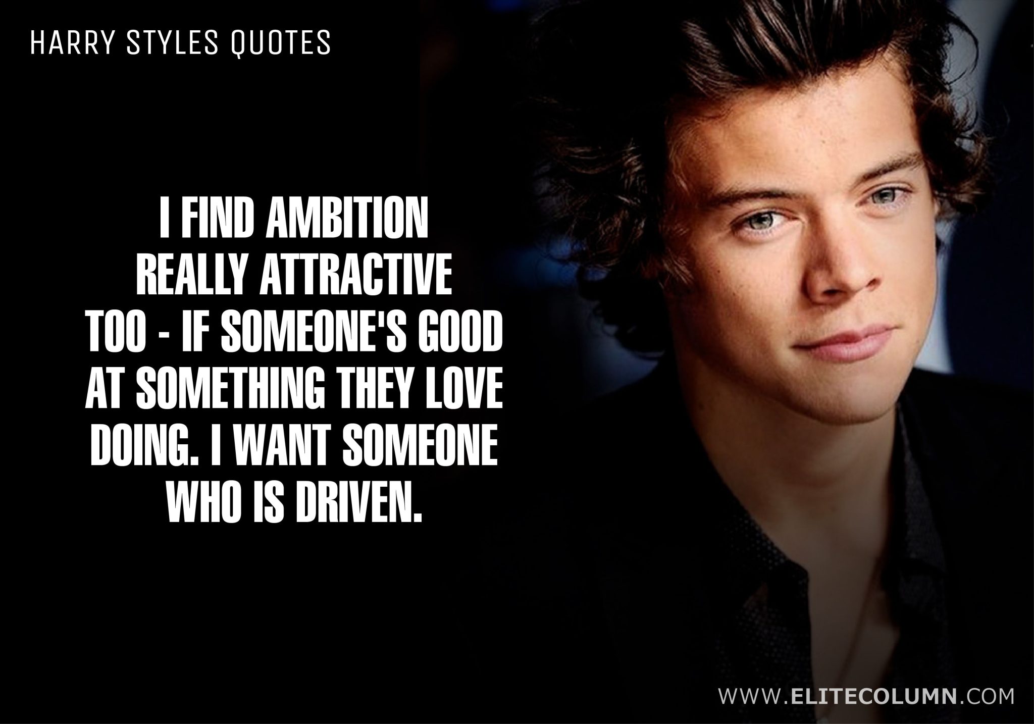 Harry Styles Quotes (10)