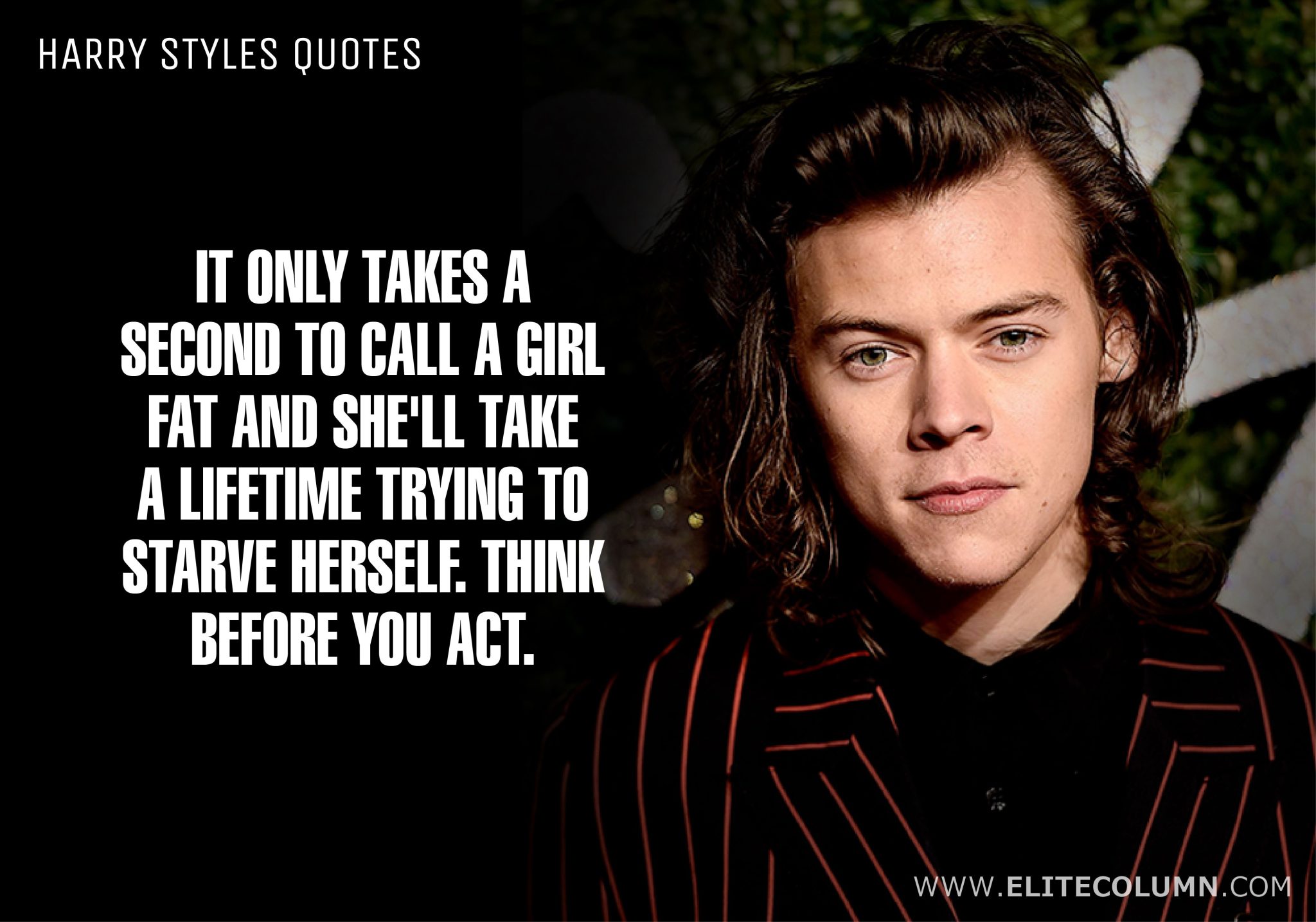 Harry Styles Quotes (2)