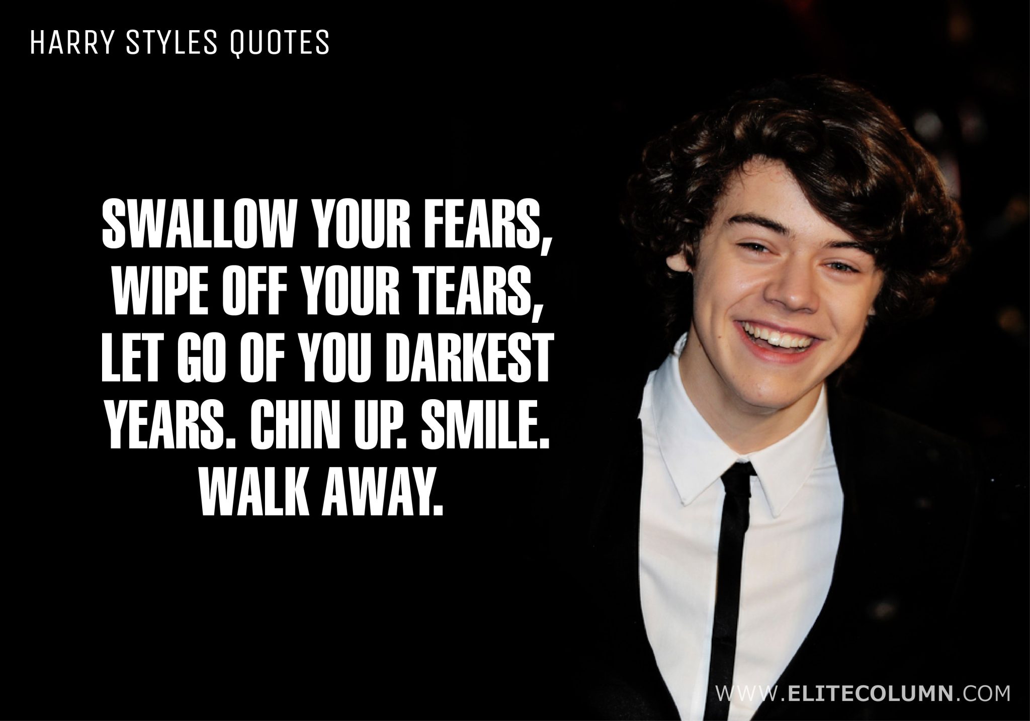 Harry Styles Quotes (6)