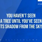 Amelia Earhart Quotes 3